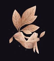 Lo Nuevo De Lisandro Aristimuno Esa Saludable Costumbre De Arriesgar Y Salir Ganando Lisandro Aristimuno Tapas De Discos Constelaciones