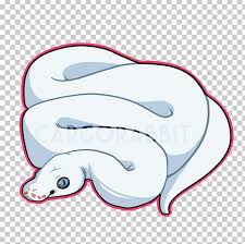 Female burmese python (python molurus bivittatus) wrapped around a clutch of 21 ferilized eggs. Images Of Cartoon Burmese Python Drawing