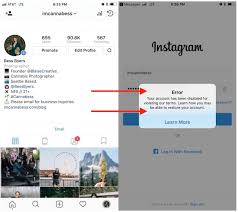 Instagram Cannabis Guide For Marketers By Wolf Millionaire Medium