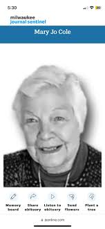 Neeskara-Binner School