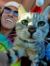 The Adventures of...