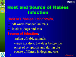 Rabies refers to diseases against which practically powerless nonspecific preventive measures because the causative agent of infection is constantly present in natural foci among the animal population. Rabies The Fatal Encounter Ppt Download