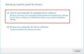 Printer and scanner software download. How To Download Epson Xp 245 Driver On Windows 7 8 10