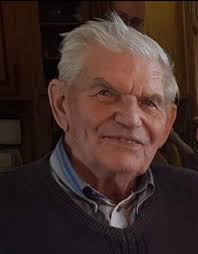 Contributions to the tribute of Ben Vermeulen