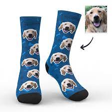 Good consistent lighting on the face (outside shots with natural light are ideal, especially for darker pets!) Face Socks Dog Personalised Socks Uk Dog Dad Gifts Myfacesocksuk