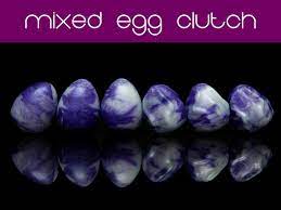 Kegel Eggs Mixed Egg Clutch set of 6 Silicone Eggs - Etsy
