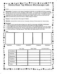 Individuals now are accustomed to using the internet microscope webquest answer key gadgets to see video and image data for inspiration, and according to the title of the post i will discuss about mitosis and meiosis webquest worksheet. Mitosis Onion Root Tip Microscope Lab By Biology Buff Tpt