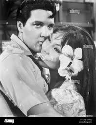 Michael d moore Banque de photographies et d'images à haute résolution