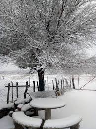 La galería de fotos de la histórica nevada. Copiosa Nevada En El Norte De Cordoba Telediario Digital