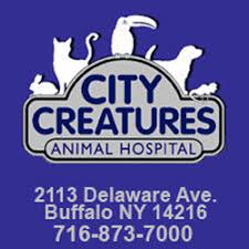On the street of north buffalo street and street number is 3930. Community Pet Care Hospital Home Facebook