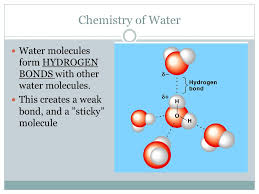 Adhesion makes a water drop a drop. What Causes Polar Molecules To Be Sticky