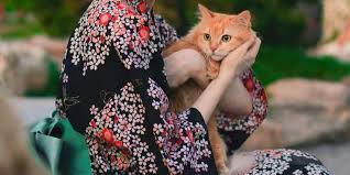 kedilerde kalp hastaliklari kedimag