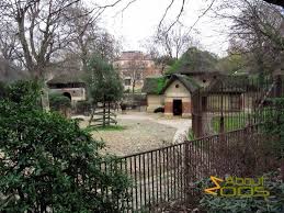 Créée en 1794, la ménagerie du jardin des plantes reste à l'heure actuelle le plus vieux zoo au monde encore existant. Paris La Menagerie Du Jardin Des Plantes About Zoos