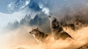 There are few creatures more fearsome and mighty than the wolf, and there's no better place to find a wolf wallpaper than unsplash. Wolf Howling At The Moon Wallpaper Hd Download For Wolf Howl Wallpaper Hd 437506 Hd Wallpaper Backgrounds Download