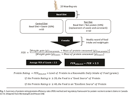Understand how to adjust foods based on body changes. Navigating Protein Claim Regulations In North America For Foods Containing Plant Based Proteins