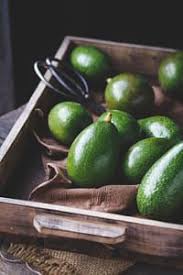 Fresh Avocados From Dalat Province Vietnam 500px Fresh Avocado Avocado Avocado Recipes