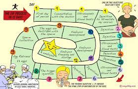 Check spelling or type a new query. The Ivf Process Timeline From Start To Finish Rsmc