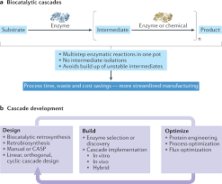 Biocatalysis Nature Reviews Methods Primers