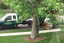 Don T Forget We Have Firewood Downes Tree Service Inc Facebook