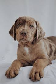 Give this boy a lovely name