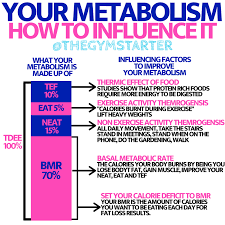 Check spelling or type a new query. How To Find Your Calorie Maintenance Level The Gym Starter Start And Succeed In Your Fitness Journey