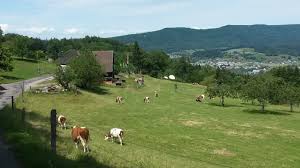 Locate the correct postal codes for fislisbach in the list above by choosing the destination city or town you are sending to. Unterwegs Fislisbach Ag Rusler Fislisbach Fislisbach Oberrohrdorf Busslingen
