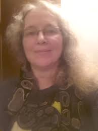 Help with studio organizational projects needed