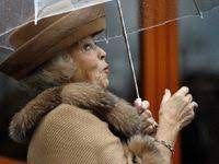 pin on royalty dutch