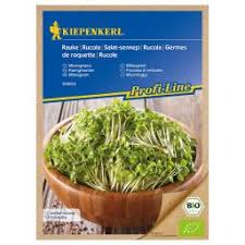 Rucola Pflanzen Pflege Und Rezepte Gartner Potschke