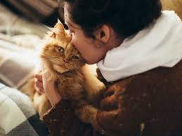 Fred, frank, george or ava, betty, dorothy. German Names For Pets Haustiernamen