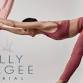 Aerial Yoga with Ally Magee Aerial event image