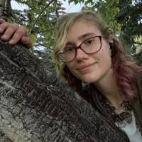 500+ "Heide" profiles