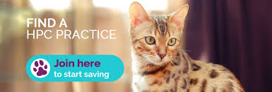 Save on the cost of your pet's routine healthcare with the pet health club. The Healthy Pet Club Find A Practice Nationwide