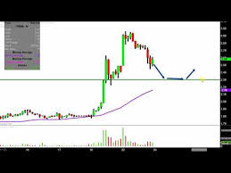 Federal National Mortgage Association Fnma Stock Chart