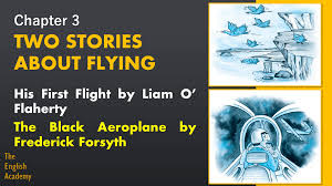 Jul 23, 2021 · the students look at the picture and answer the questions with complete sentences.if you like this hindi creative writing worksheet for class 3, hindi worksheet for class 3, language worksheet for. Two Stories About Flying Class 10 Summary Explanation Questions