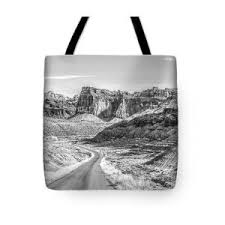 Historic Cross Section Tote Bag by Curtis Boggs