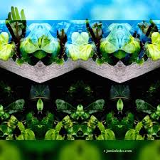 I Never Saw Another Butterfly A Poem Written By The Child Pavel Freidman Short Bio Included Before He Was Murdered At Theresienstadt Concentration Camp Jamie Dedes The Poet By Day Webzine