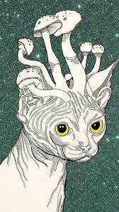 Maybe you would like to learn more about one of these? 26 Trippy Iphone Wallpapers Ideas Trippy Wallpaper Trippy Iphone Wallpaper Trippy