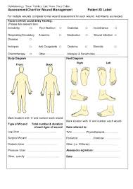 Body Diagram Wound Healing Wiring Diagrams