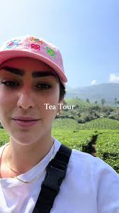 Ella Tea Plantation
