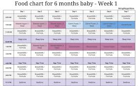 6 Months Baby Food Chart Food Ideas