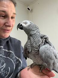 Did you know… That we are working