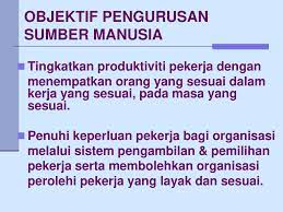 Pengurusan sumber mp3 & mp4. Unit 1 Pengenalan Kepada Pembangunan Sumber Manusia Ppt Download