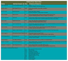 southern alberta hatch charts bow river troutfitters inc