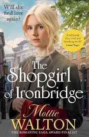 The Shopgirl of Ironbridge by Mollie Walton | Waterstones