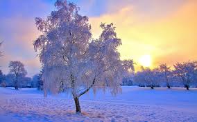 Image result for free winter images