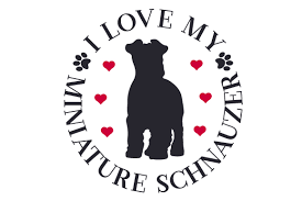 Download I Love My Miniature Schnauzer Svg Cut Files Free Svg Files Create Your Diy Shirts Decals And Cricut Explore PSD Mockup Templates