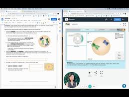 The strength that helps us be successful comes from picking a the best decisions and powerful. Meiosis Gizmo Instructions Youtube