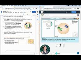 The meiosis gizmo is an intuitive movement, which helps understudies through the steps of meiosis offspring utilizing crossovers and meiosis. Meiosis Gizmo Instructions Youtube