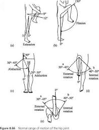 shoulder range of motion chart joint rom chart head